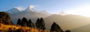 Trekking Packages Nepal