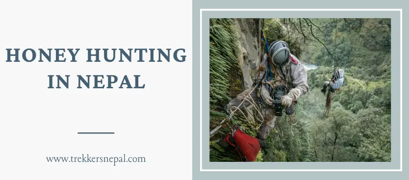 Honey Hunting in Nepal